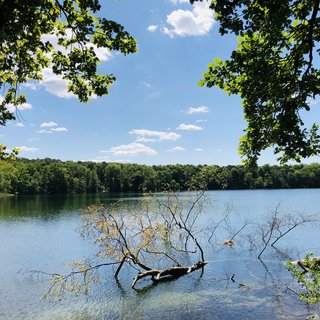 Ein großer See umgeben von Bäumen.