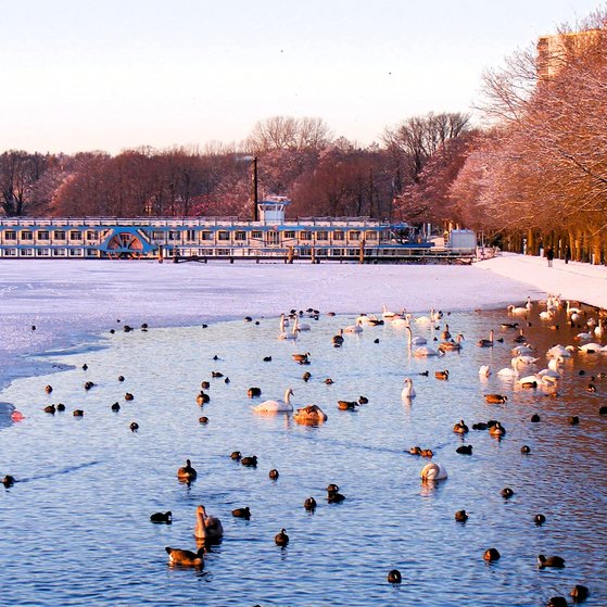 Winter Greenwich-Promenade mit MS Havel Queen Ein Winterbild der Greenwich-Promenade mit der MS Havel Queen