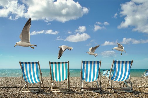 Ein Bild mit vier Liegest&uuml;hlen am Strand, &uuml;ber sie hinweg fliegen M&ouml;wen