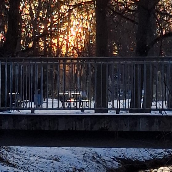 Die Panke Die Panke im Berliner Bezirk Pankow.