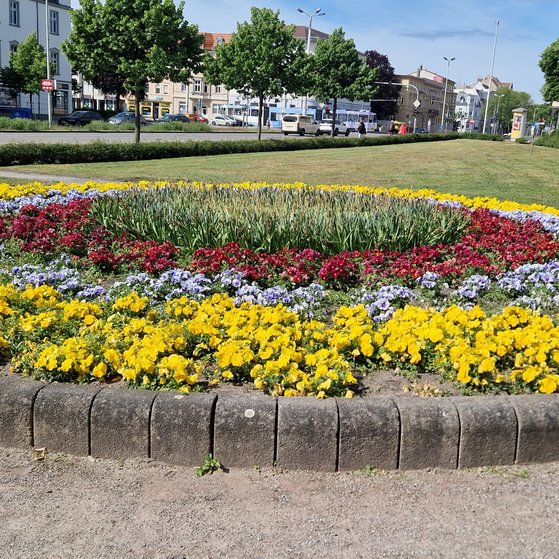 Cottbuser Frühling Cottbus