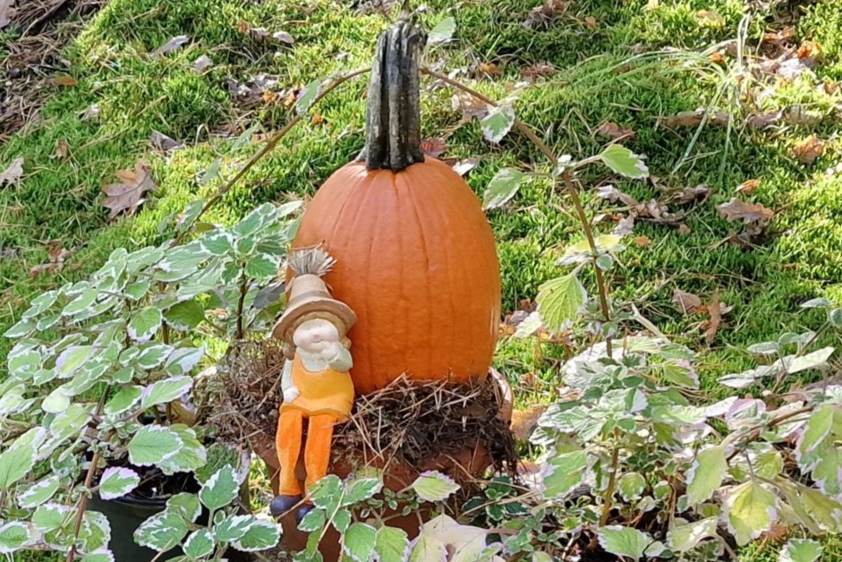 Kleine Figur mit orangefarbener Hose und Hut sitzt vor einem großen orangefarbenen Kürbis, umgeben von grünen Pflanzen und Moos